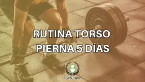 rutina torso pierna 5 dias